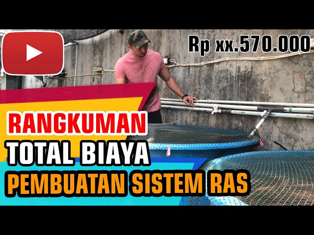 Berapa modal budidaya ikan nila sistem RAS ?