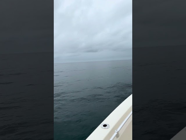 Epic Fishing Adventure in a Storm!