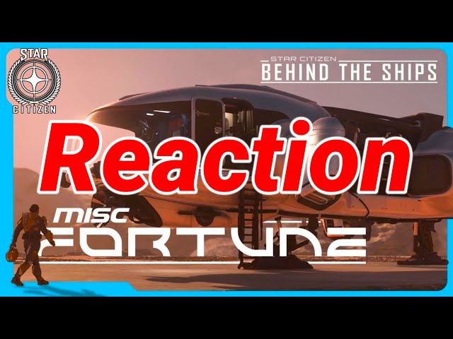 4.0.1 Reaction: MISC Fortune