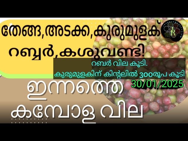 കുതിപ്പ് തുടർന്ന് കുരുമുളക് മൂന്നു ദിവസംകൊണ്ട് ഉയർന്നത് 1100 രൂപ | Final price