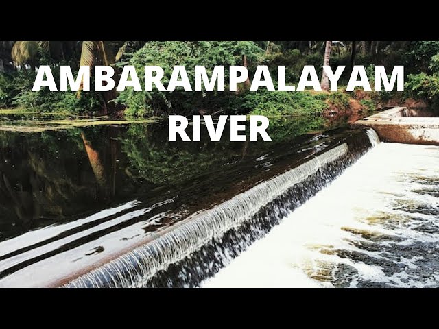 Athu Pollachi River | Ambarampalayam River | Pollachi to Athupollachi River | Music Vibes | [2021]