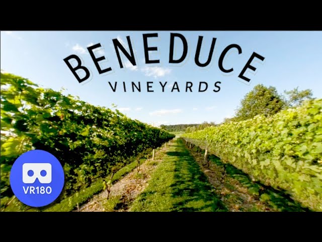 Beneduce Vineyards Virtual Reality Tour