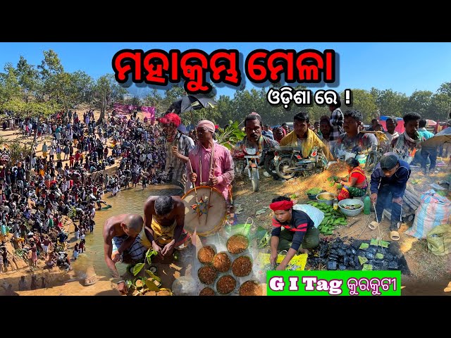 ଆଦୀବାସୀ ସାନ୍ତାଳୀ ନିଆରା ପରମ୍ପରା || Vimakunda damdar view || Village Tribal Life