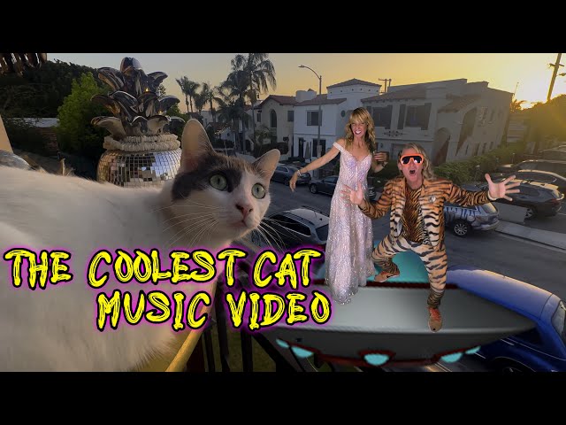 Galactivators - The Coolest Cat (Official Music Video)