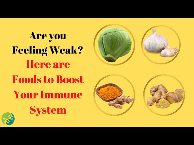 10 Foods That Will Boost Your Immune System