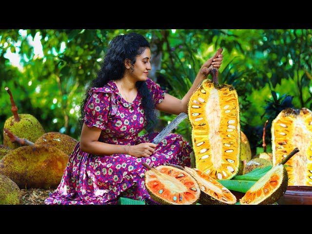 Well-Ripened Pink Jackfruit 🍈 Creating Kesari & Young Coconut Drink [Traditional Sri Lankan Cooking]