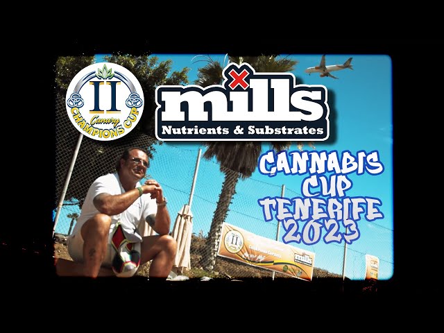 Canary Champions Cup: The Ultimate Cannabis Celebration in Tenerife