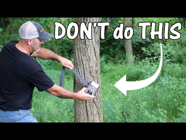 3 Setup MISTAKES (Never do THIS): Trail Camera Placement Tips for Best Results