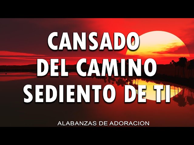 Cansado Del Camino - MUSICA CRISTIANA DE ADORACION 2024 - HIMNOS ADORACION 2024