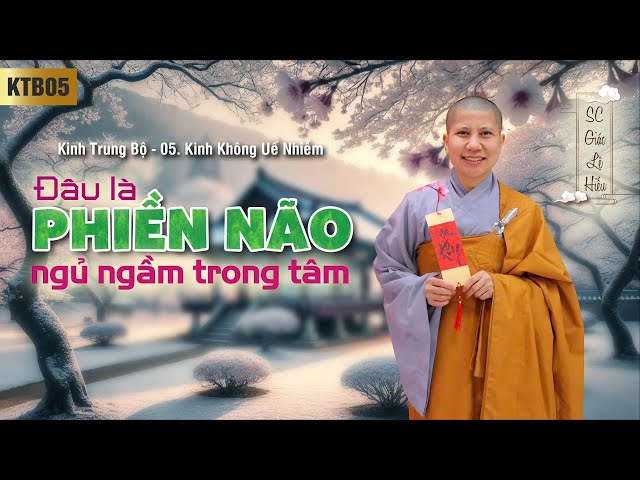 Đâu là phiền não ngủ ngầm trong tâm  - Kinh Trung Bộ 005: Kinh Không uế nhiễm - SC. Giác Lệ Hiếu