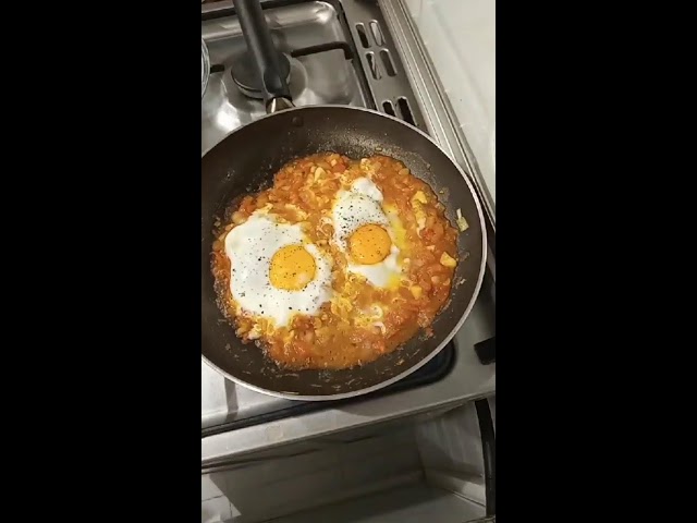 #cooking #egg #tomato #recipe #delicious #breakfast #asmr #satisfying #video #live #livestream