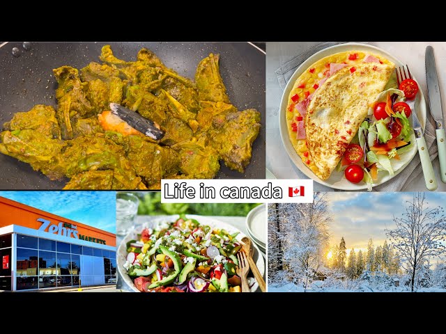 My first vlog | life in canada|Cook Mutton chops| Silent vlog