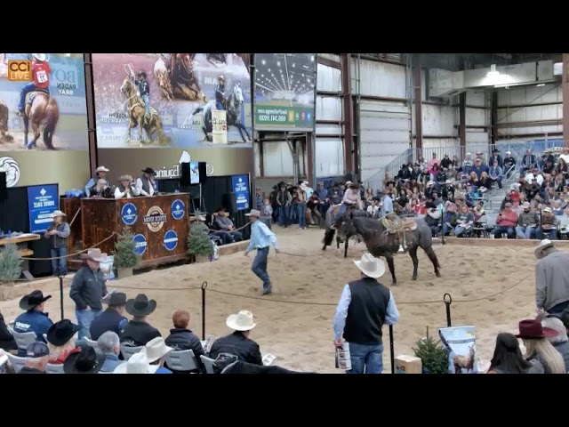 Black Hills Stock Show Horse Sale Day Two, Rapid City, SD