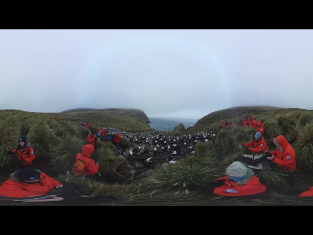 Falkland Islands ( GTF 2018)