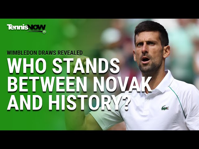 Who Stands Between Novak and History?