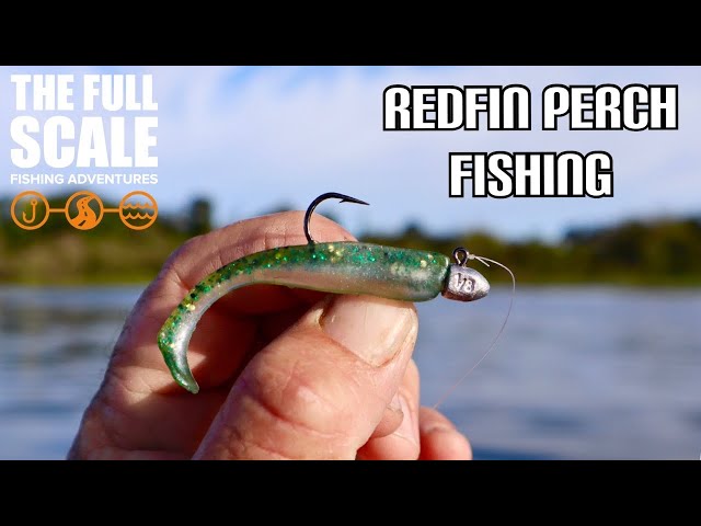 Fishing For Redfin Perch | The Full Scale