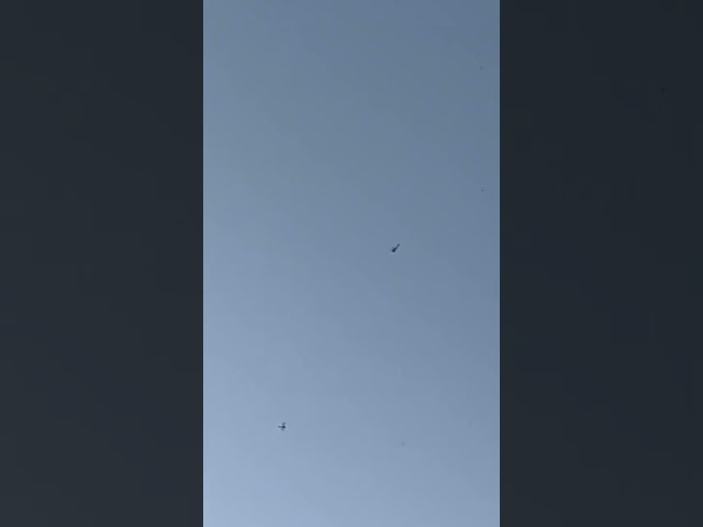 Dragonfly swarm