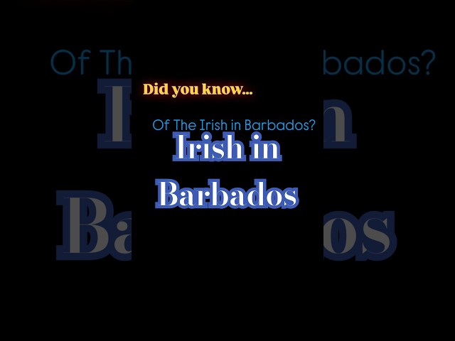 Irish in Barbados? #bajan #bajanhistory #triangletrade #indentured