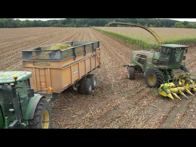 CANADIAN FARMER - BIG PRODUCER - Thurler Farms harvests corn silage to feed 1,000 head of cattle.