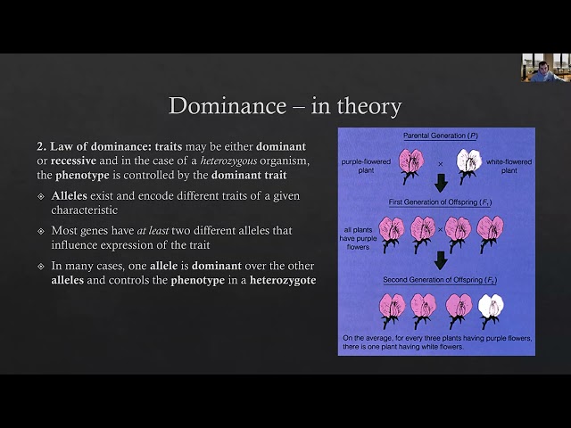 Mendel's Laws