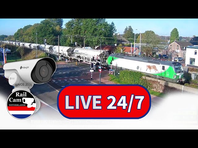 Livestream RailCam Netherlands