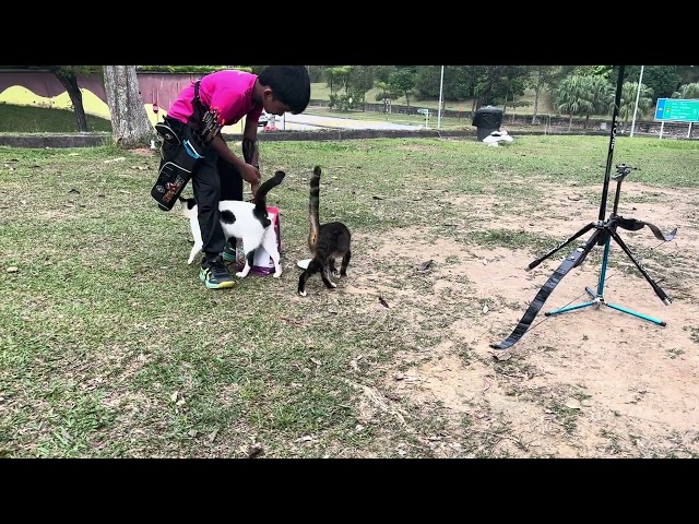 Cats named Batman and Catwoman like to be fed at Fourway Archercy Club training ground