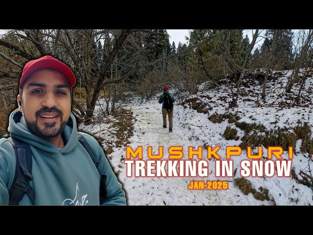 SOLO TREKKING IN SNOW - MUSHKPURI PEAK IN JAN 2025