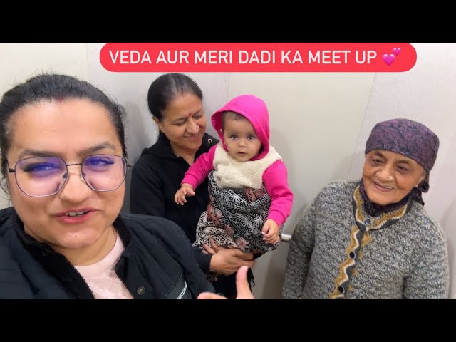 VEDA AUR MERI DADI KA MEET UP ♥️ || VEDA IS PROFESSIONAL DOG WALKER || ROHINIDILAIK