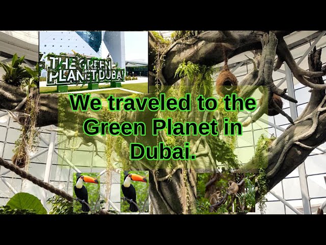 😲 Amazing Animals in the Heart of Dubai! 🏙️🐍 Green Planet #greenplanet #nuture #dubai #travel