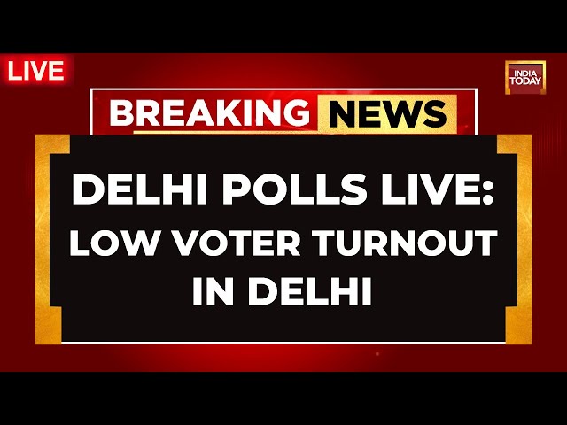 Delhi Voting LIVE News | Delhi Assembly Polls Ground Report | Voting For Delhi Elections Underway