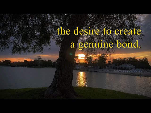 the desire to create genuine bonds - (unsent messages #1)