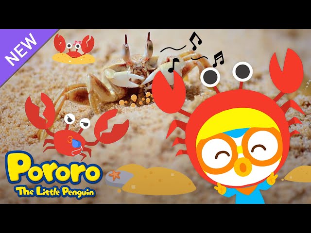 Pororo Indonesia | Berhenti! Kepiting! | Lagu Hewan Laut | Lagu Anak pendidikan