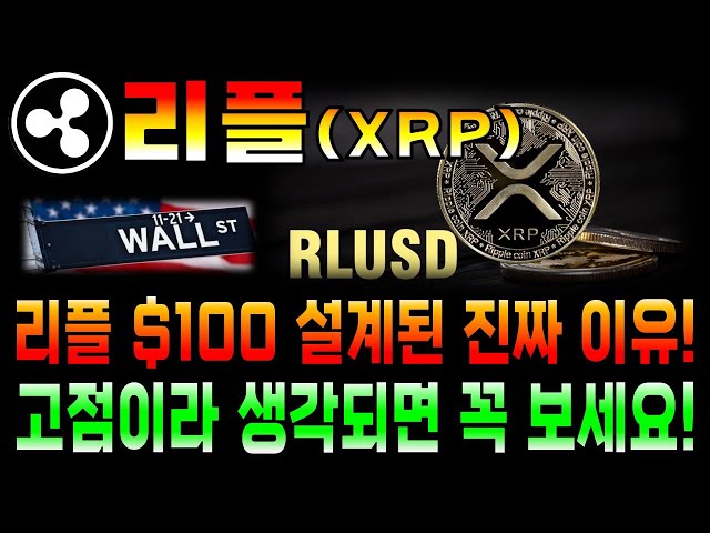 [리플 코인전망 / XRP] 리플은 처음부터 $100 에 설계되었다! 지금이 고점이라구요? 꼭 보세요..