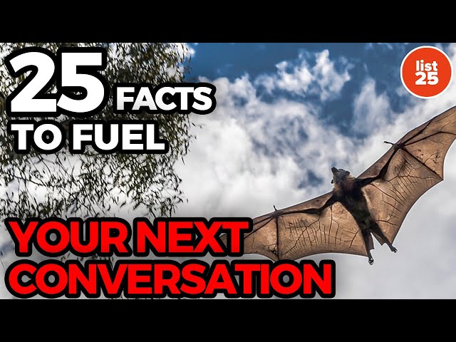 25 Interesting Facts to Fuel Your Next Conversation