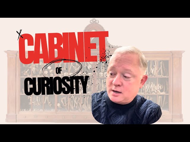 The Cabinet of Curiosities! Is it art or the work of a mad scientist?