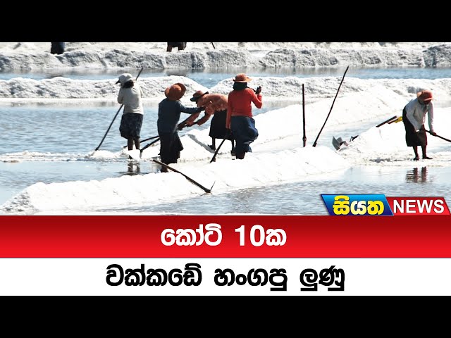 කෝටි 10ක වක්කඩේ හංගපු ලුණු | Siyatha News