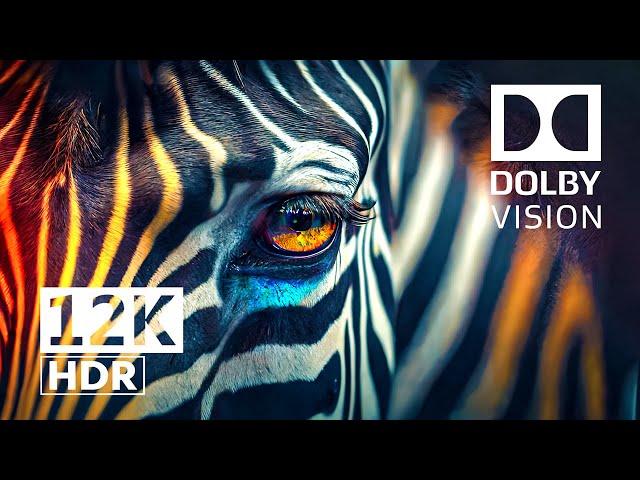 LIFE OF ANIMALS [HDR] 12K Dolby Vision™