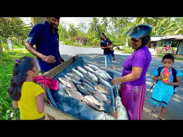 Danger! Street Traditional Fish Market Showcasing Amazing Knife Skills