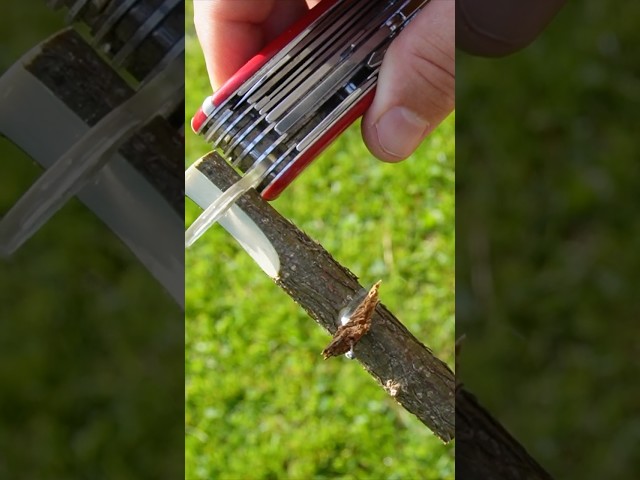 👉 Amazing concept to create an ember with a Swiss Army Knife magnifying glass ! ☀️🔍🔥