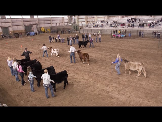 Block and Bridle at University of Wyoming