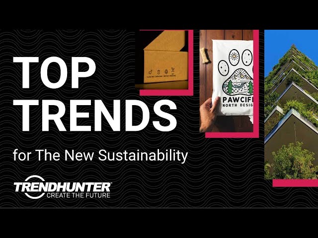 Top Trends in Sustainability | NOW TRENDING