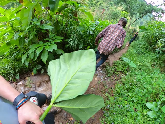 Materuni waterfall hike