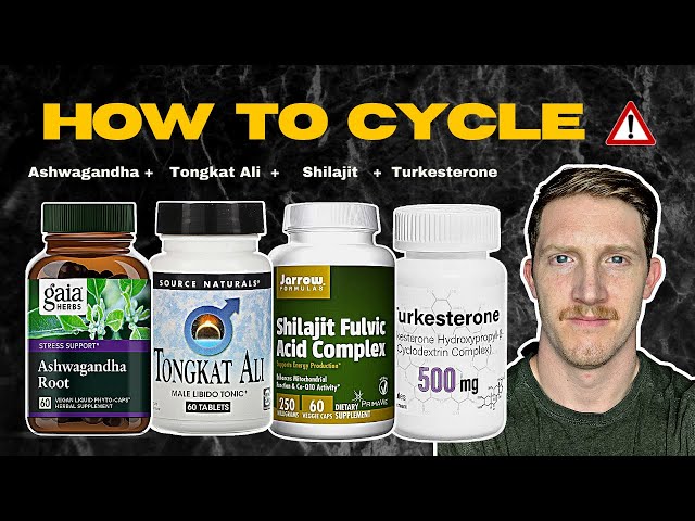 How To Cycle Herbal Supplements To Increase Testosterone