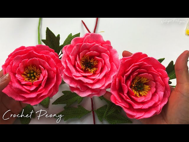 Crochet Peony Flower Tutorial: Detailed Guide