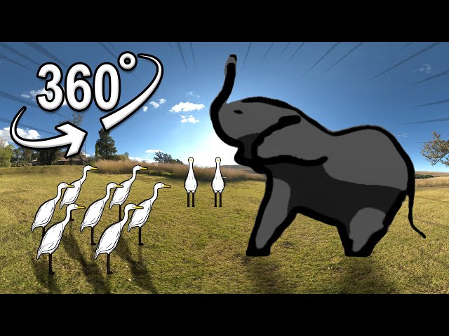 Dancing Elephant(with.white crane) | VR 360°