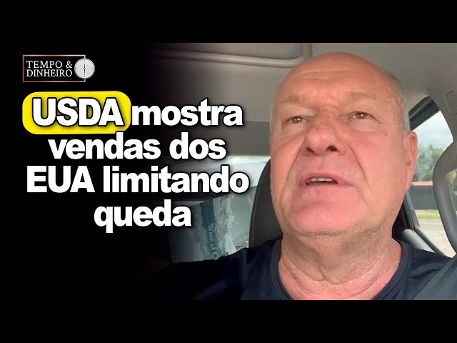 USDA mostra vendas dos EUA limitando queda, explica Vlamir Brandalizze