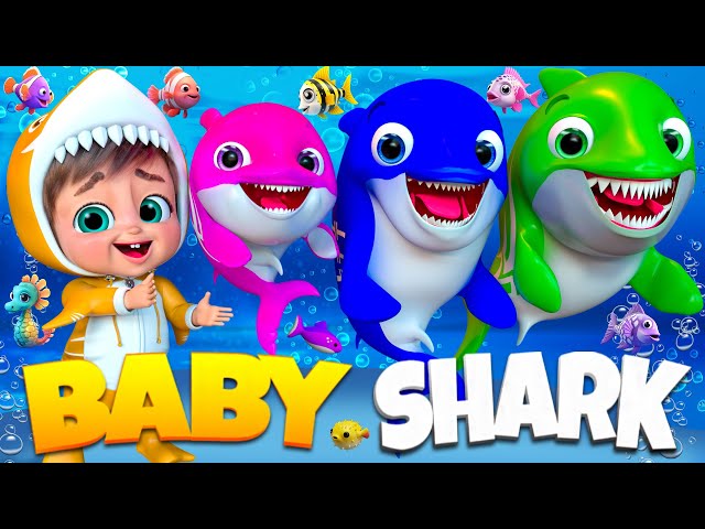 [🔴 LIVE ]  Baby Shark Dance Songs🦈🦈 | Winter Baby Shark | Doo Doo Doo | Pinkfong Live #cocomelon