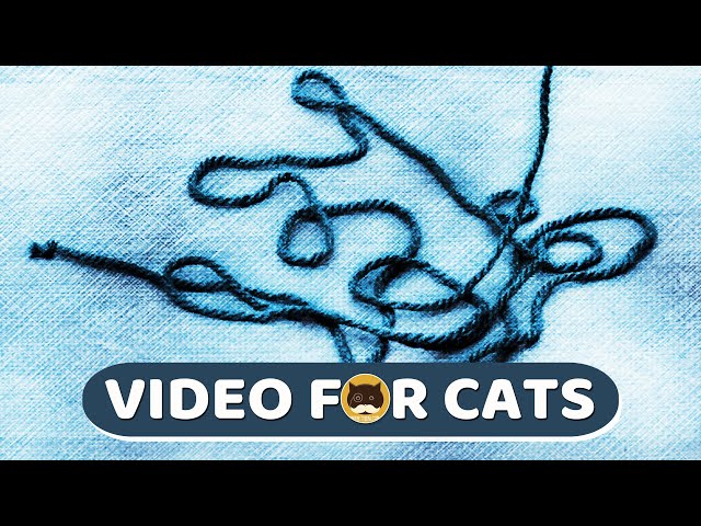 CAT GAMES - Yarn Strings. Videos for Cats | CAT TV | 1 Hour.