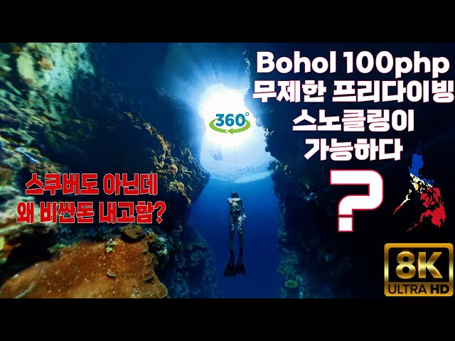 8K VR 공짜로 보홀 산호를 즐길 수 있는 프리다이빙을 해보자 Bohol napaling Freediving