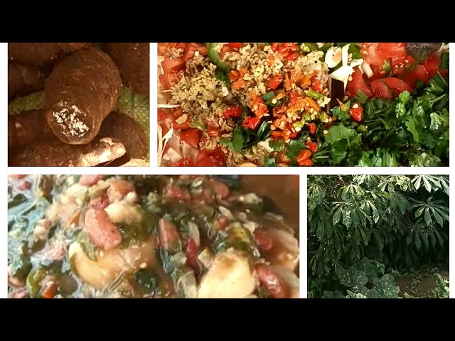 How To Cook Nourishing Roots/Cocoyam/Obukupa/beans katogo & Wild Garden Greens Recipe Asmr🫘🍃#viral